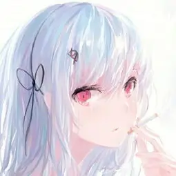 会员 浮光掠影 头像